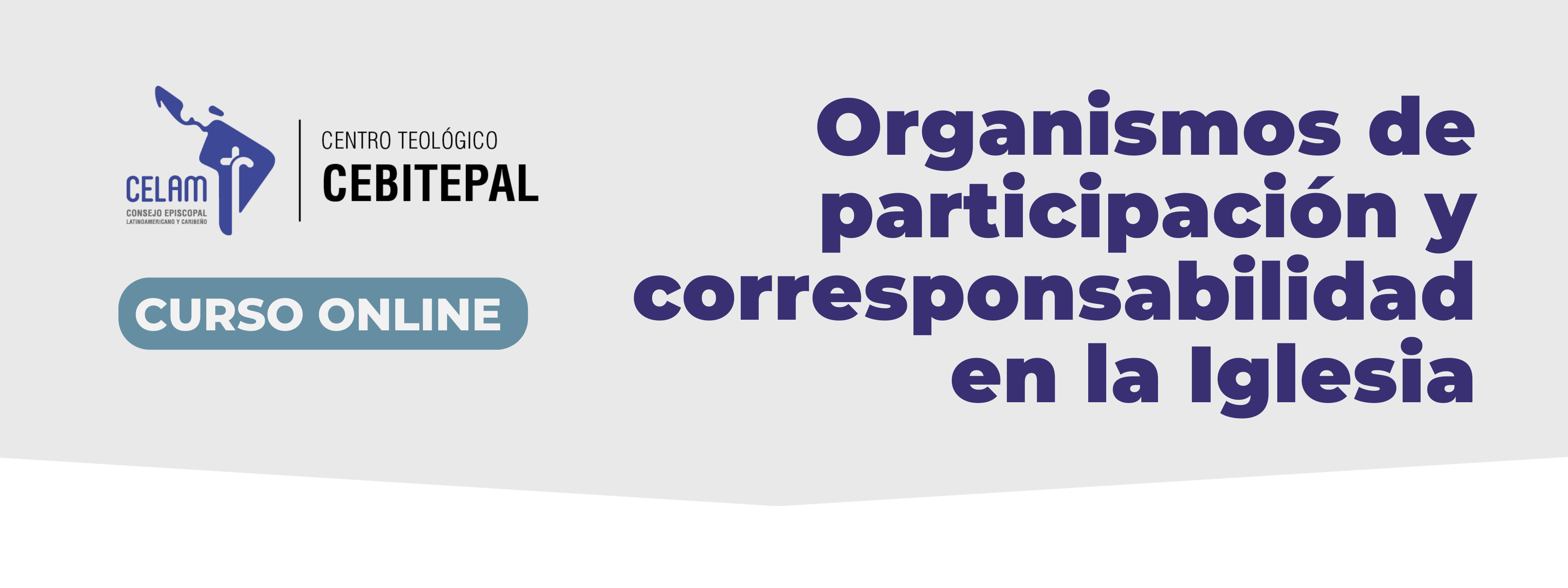 Organismos de participación y corresponsabilidad en la Iglesia